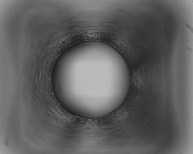 X0000103471009200809191830