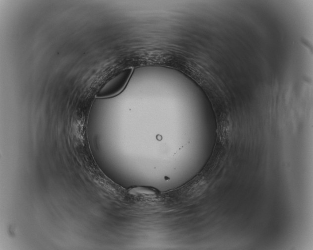 X0000103471010200809191830