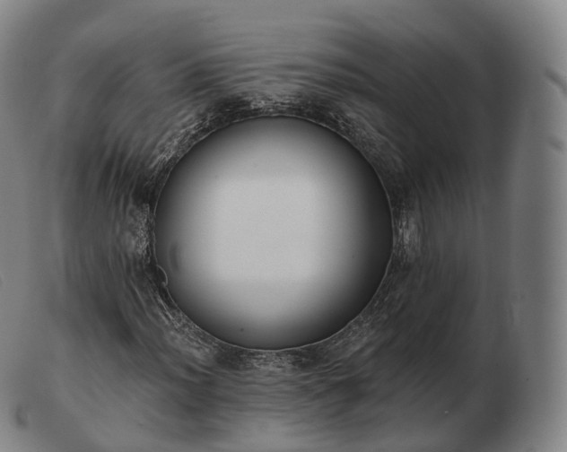 X0000103471012200809191830