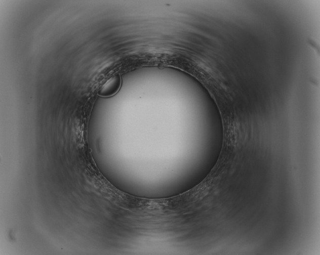 X0000103471013200809191830