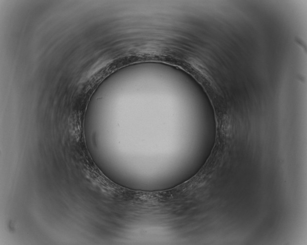 X0000103471015200809191830