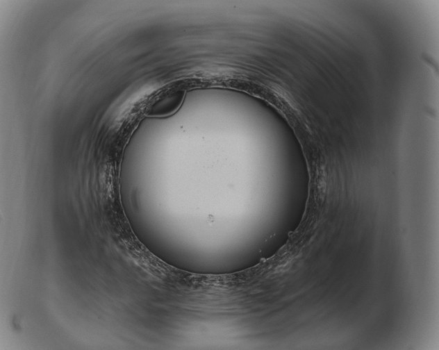 X0000103471016200809191830