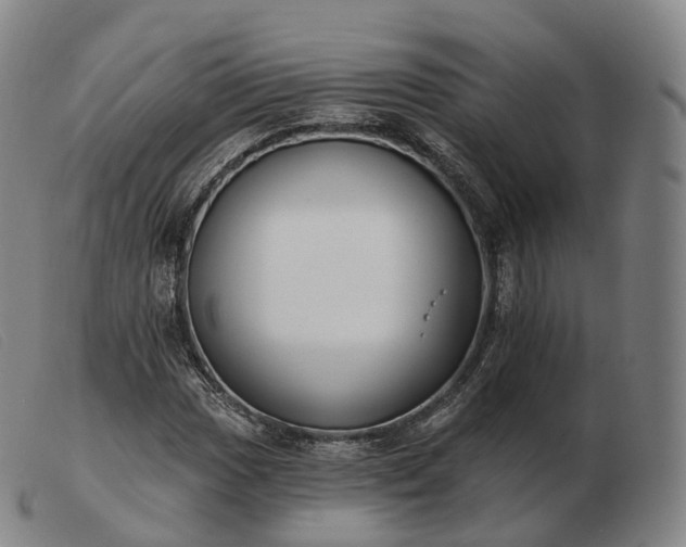 X0000103471017200809191830