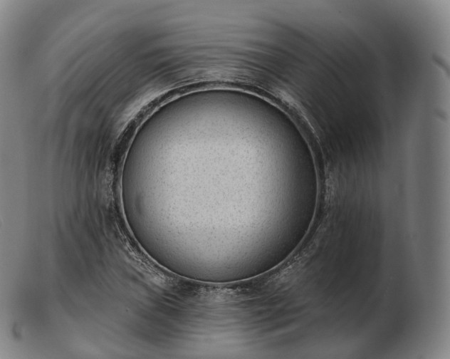 X0000103471019200809191830