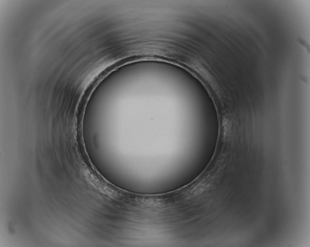 X0000103471020200809191830