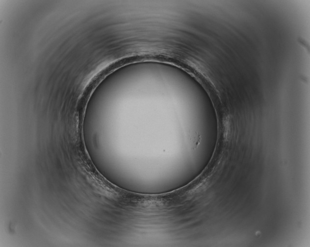 X0000103471021200809191830