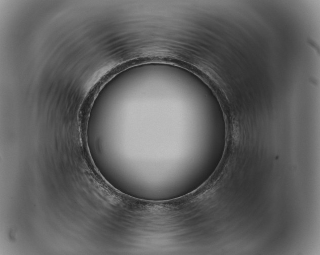 X0000103471022200809191830