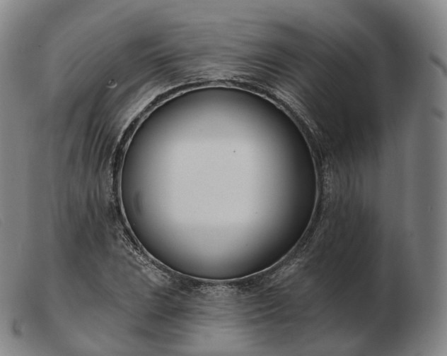 X0000103471023200809191830