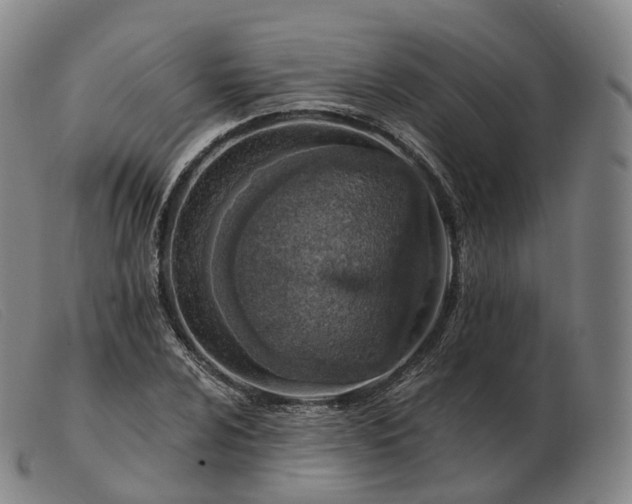 X0000103471024200809191830