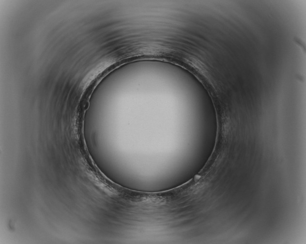 X0000103471026200809191830