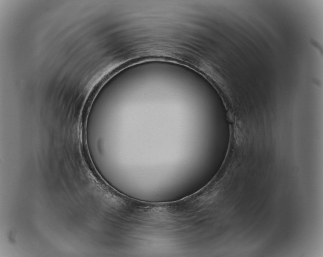 X0000103471028200809191831