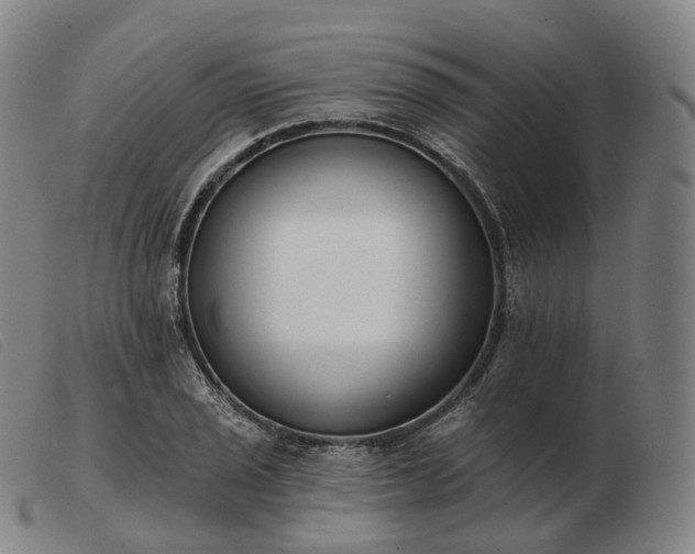 X0000103471029200809191831