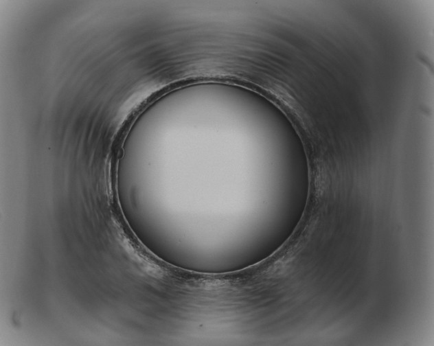 X0000103471030200809191831