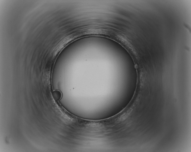 X0000103471033200809191831