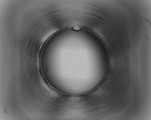 X0000103471034200809191831