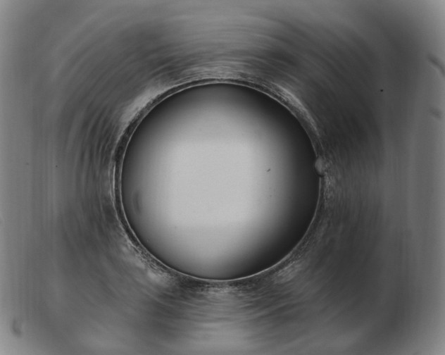 X0000103471035200809191831