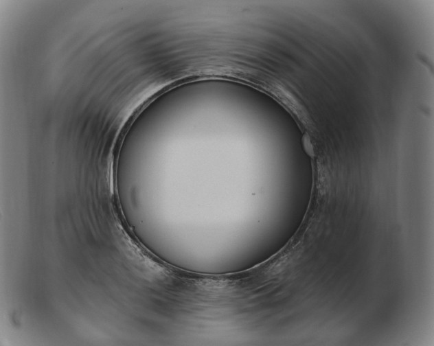 X0000103471036200809191831