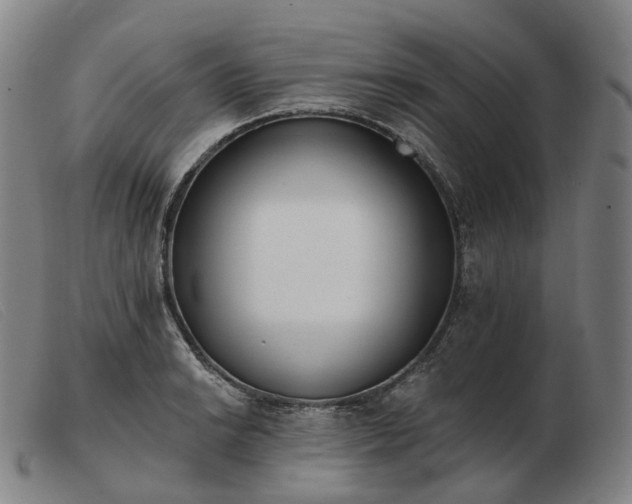 X0000103471038200809191831