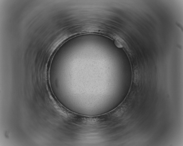 X0000103471039200809191831