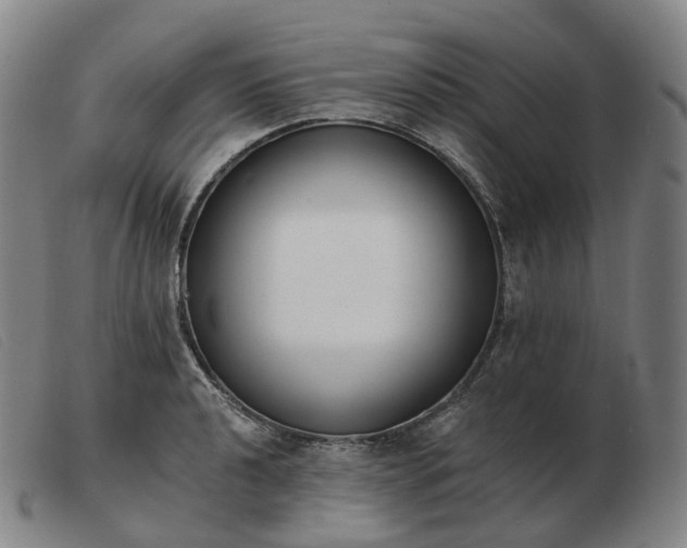 X0000103471040200809191831