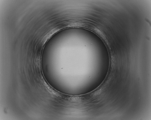 X0000103471041200809191831