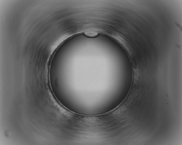 X0000103471046200809191831