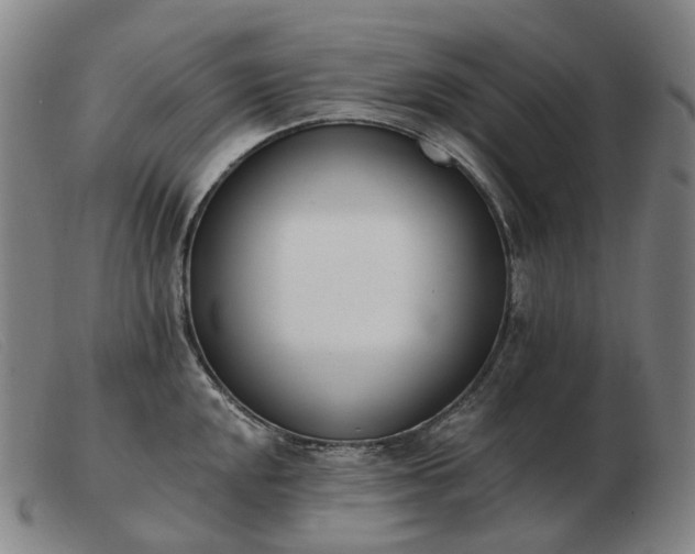 X0000103471048200809191831