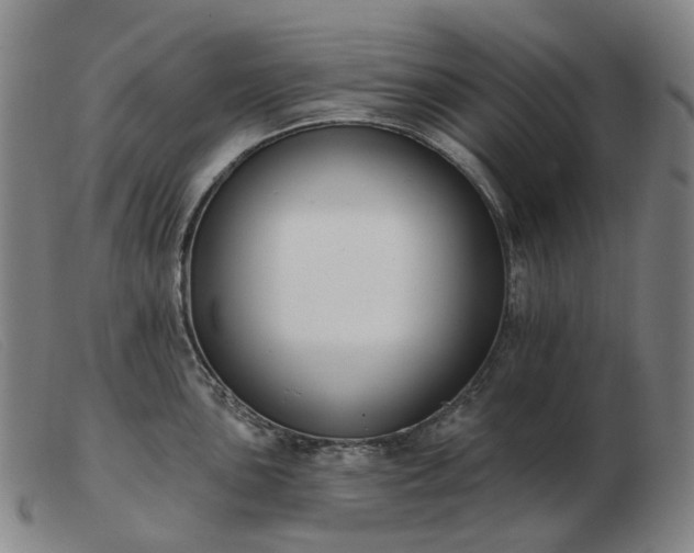 X0000103471051200809191831