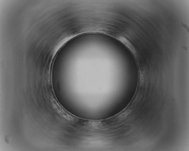 X0000103471052200809191831