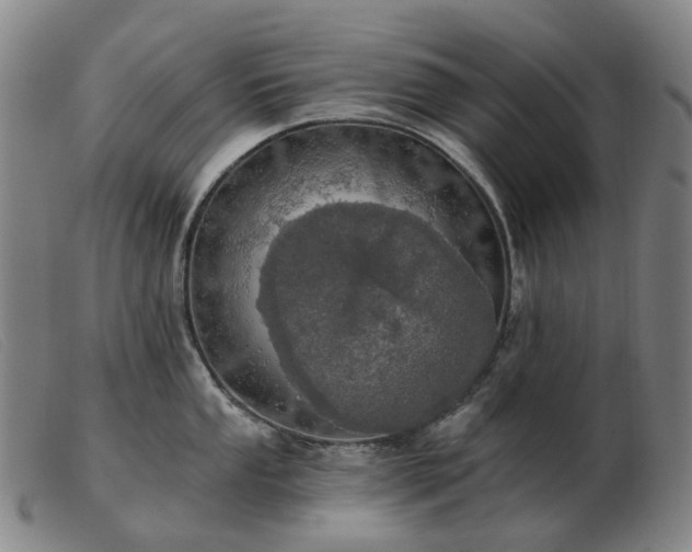 X0000103471053200809191831