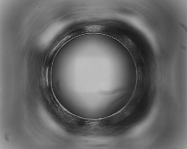 X0000103471054200809191831