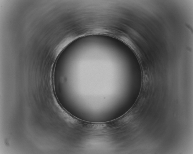 X0000103471055200809191831