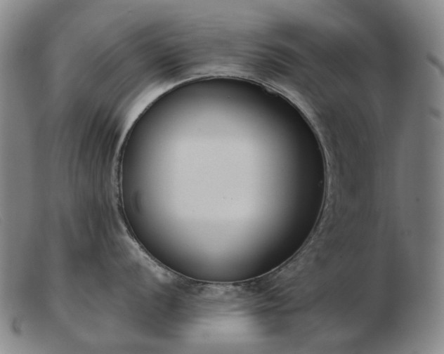 X0000103471056200809191831