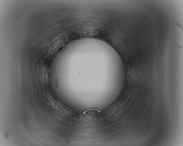 X0000103471058200809191830