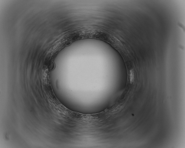 X0000103471059200809191830