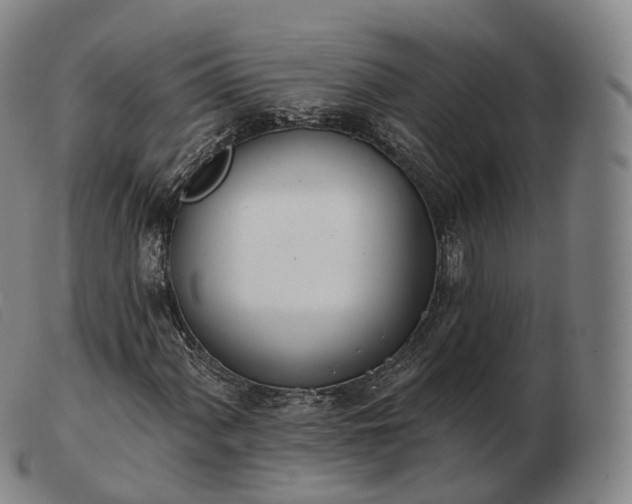 X0000103471060200809191830