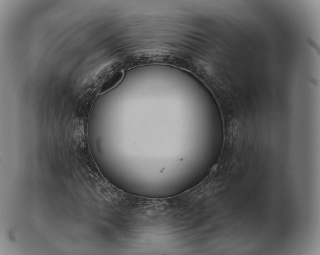 X0000103471062200809191830