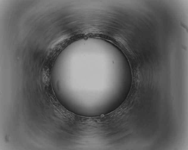 X0000103471063200809191830