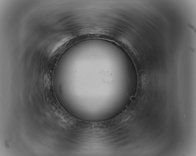 X0000103471064200809191830