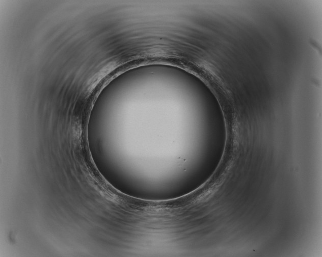 X0000103471065200809191830