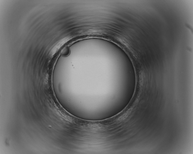 X0000103471066200809191830