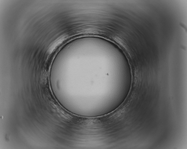 X0000103471067200809191830