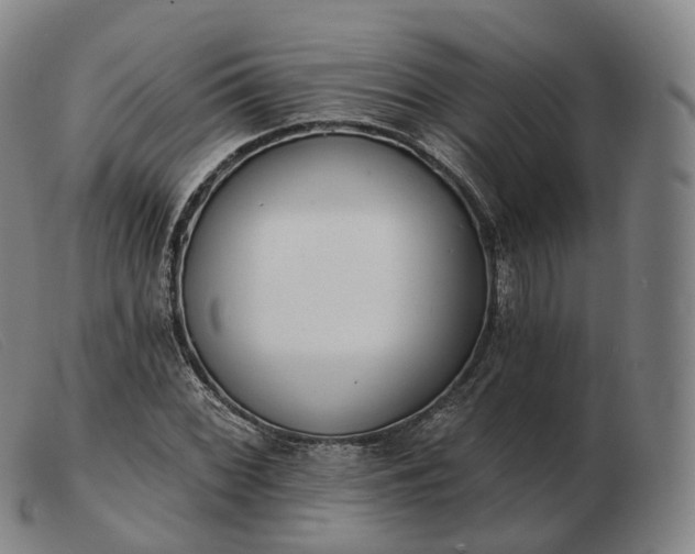 X0000103471068200809191830