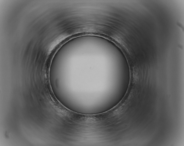 X0000103471070200809191830