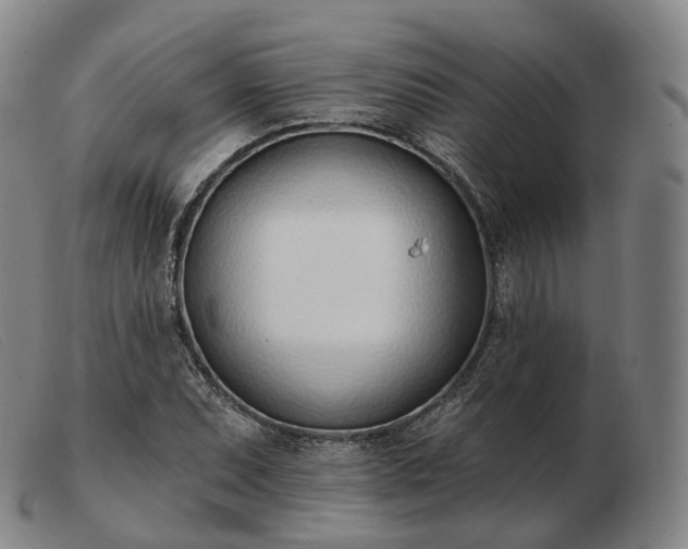 X0000103471071200809191830