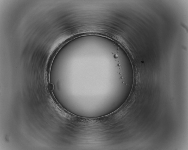 X0000103471072200809191830