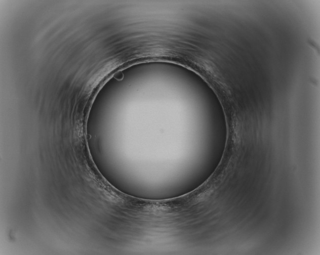 X0000103471073200809191830