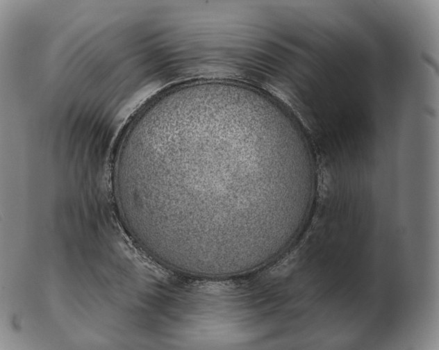 X0000103471074200809191830