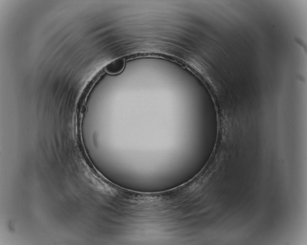 X0000103471076200809191830