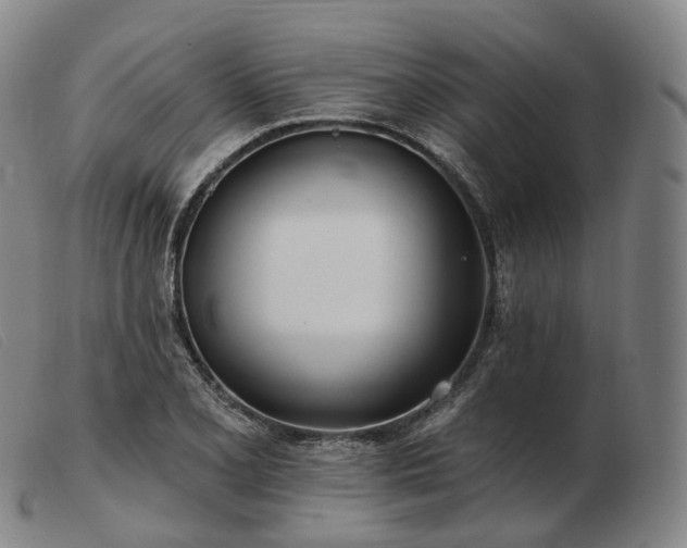 X0000103471077200809191830